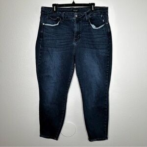 Judy Blue Womens Dark Wash Stretch Skinny High Rise Jeans Plus Size 22W